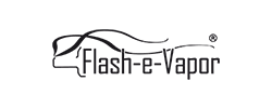 paydirekt bei flash-e-vapor.de - Logo